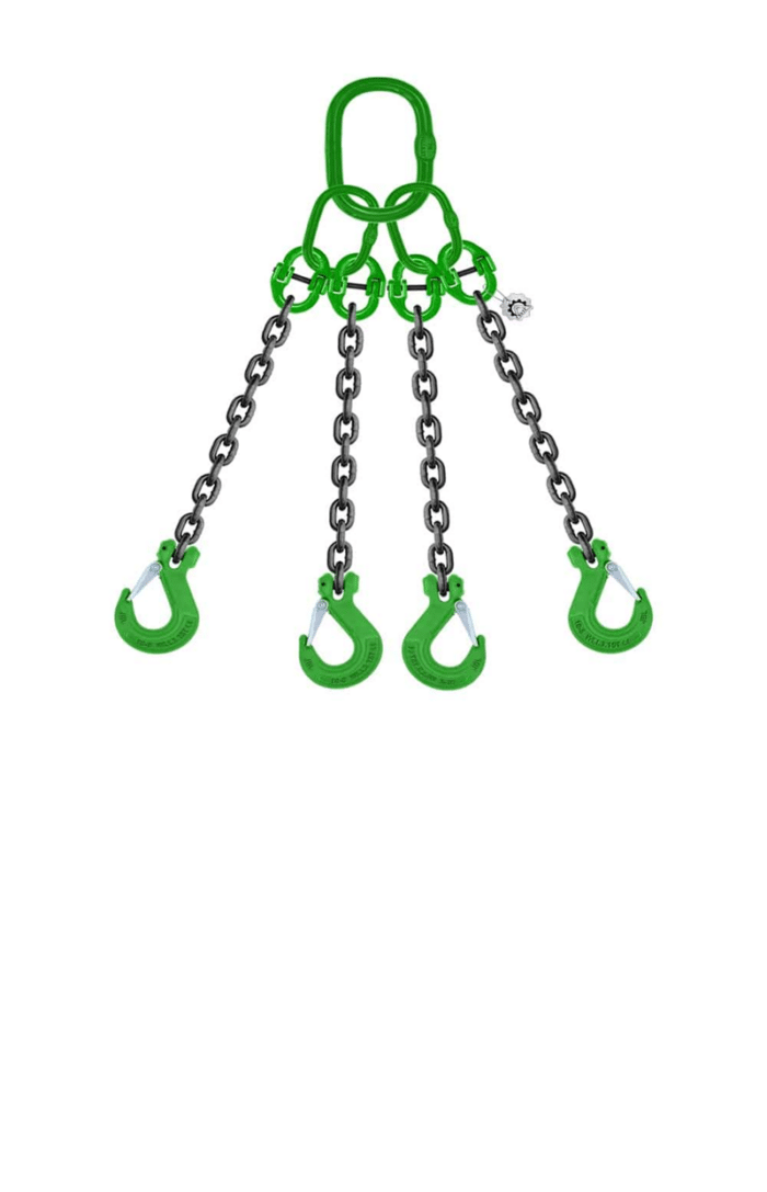 Chain Hooks With Latches 3